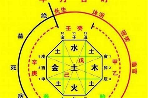 火命人适合什么水晶|八字喜火的人佩戴水晶 (五行属火的人适合佩戴什么水晶)